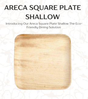 Square Areca Plate 25 piece (Deep) (26) (1)